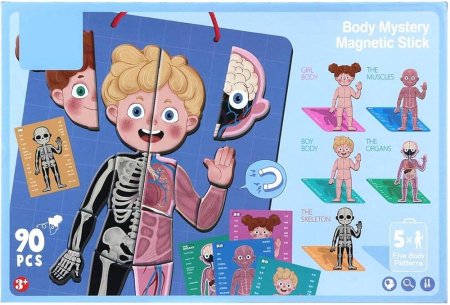 بازل جسم الانسان مغناطيس 90  "Body Mystery Magnetic Stick"