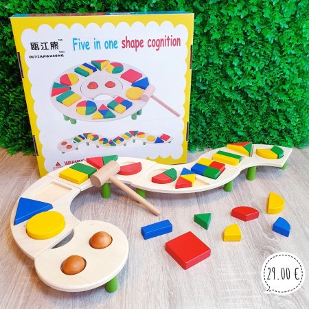 Five in one shape cognition"