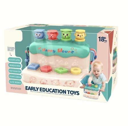 Early education toys
