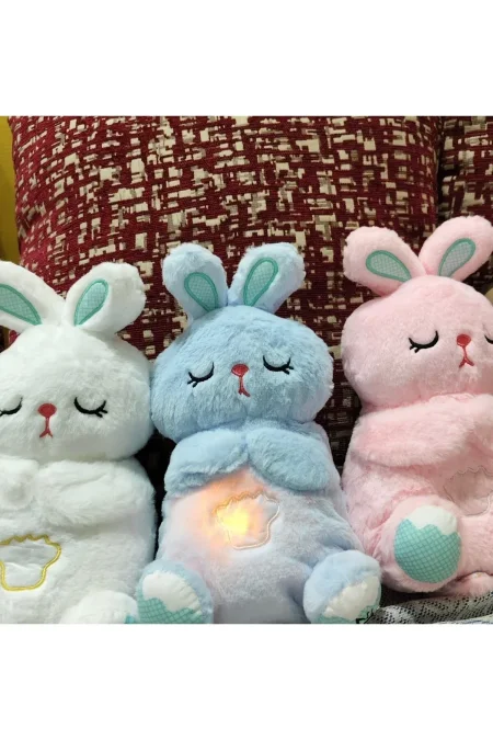 الدب المتنفس