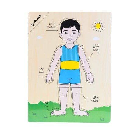 لوحة أجزاء الجسم ولد