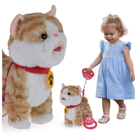 القطة التفاعلية