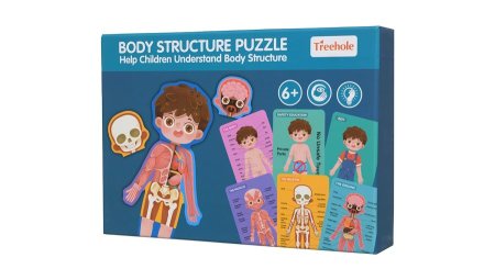 Body structure puzzle