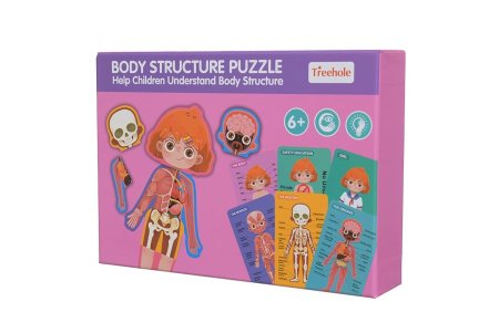 Body structure puzzle